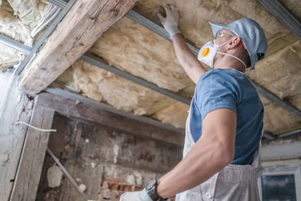 Best Insulation Replacement Services  in Chattanooga, TN