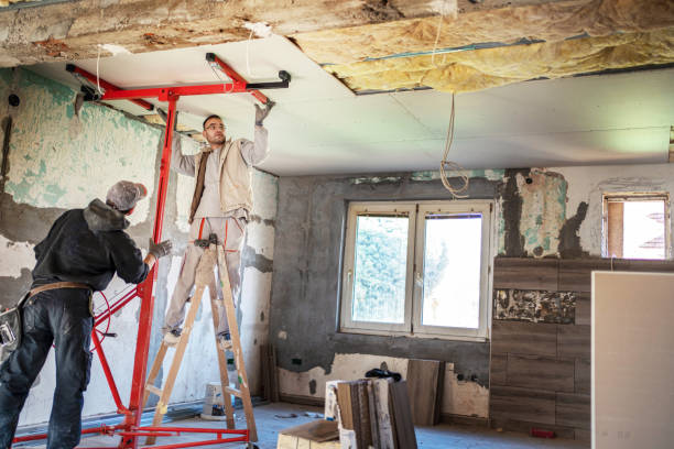 Best Insulation Removal  in Chattanooga, TN