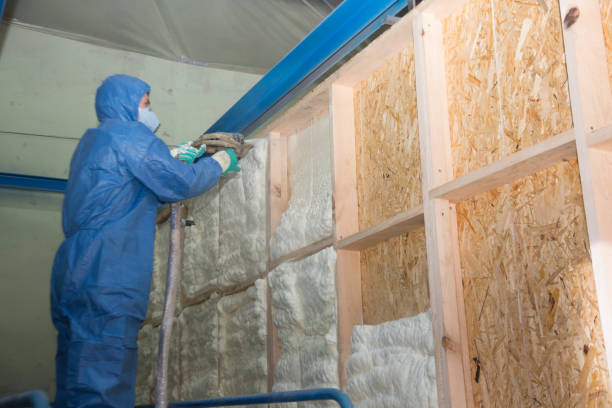 Best Affordable Insulation Services  in Chattanooga, TN